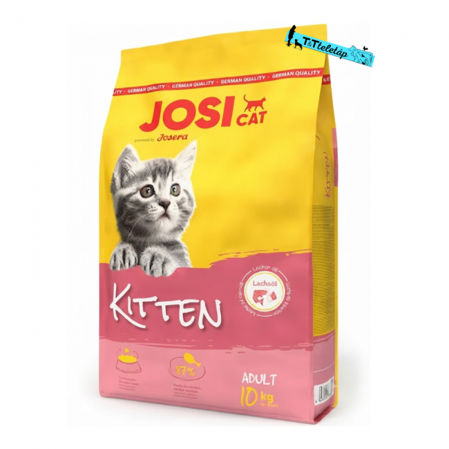 Josi Cat kitten 